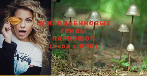 каннабис Алексеевка