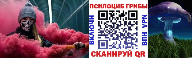 купить  сайты  Чкаловск  Галлюциногенные грибы мухоморы 